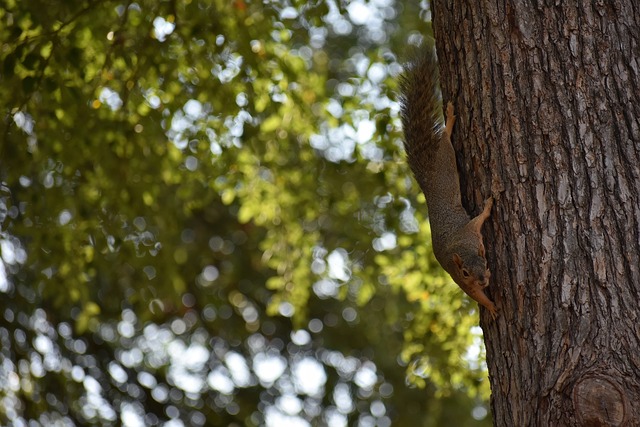 表现成为了 表现成为了