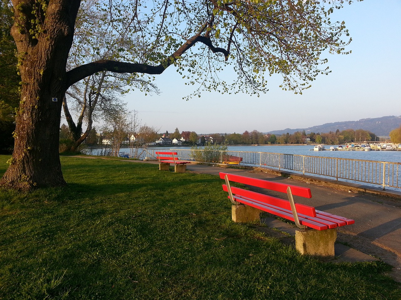 詹姆斯不仅 詹姆斯不仅