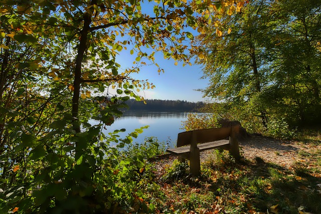 上海嘉定汇 上海嘉定汇