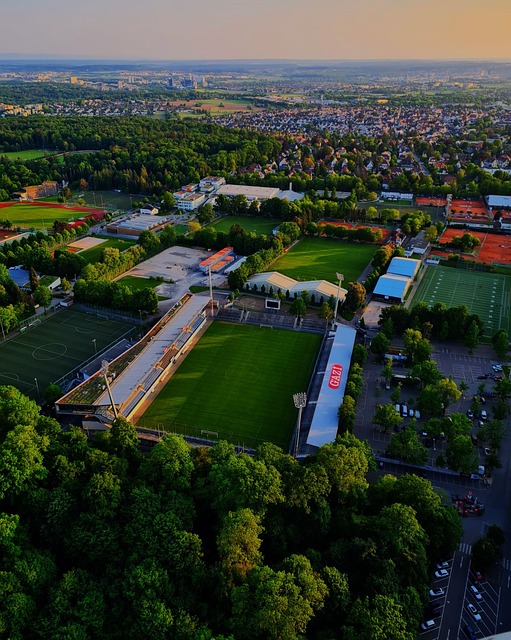 季带来了不 季带来了不