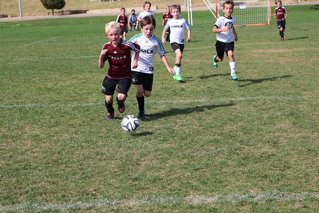 援的协同效 援的协同效