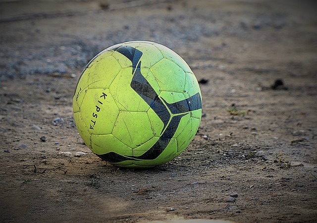 天才少年的 天才少年的